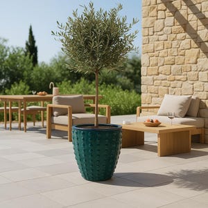 Peut inclure: Un pot de fleurs en céramique turquoise avec un motif à pois contient un petit olivier. L'arbre a un tronc fin et des feuilles vertes. Le pot est sur un patio, avec des meubles de jardin en arrière-plan.