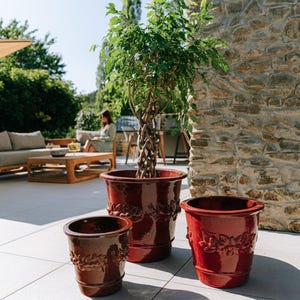 Peut inclure: Trois pots de fleurs en céramique rouge-brun de différentes tailles, avec un motif floral en relief sur le bord. Un petit arbre aux feuilles vertes est planté dans le plus grand pot. Les pots sont sur un patio.