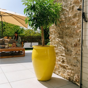 Może przedstawiać: Duża, błyszcząca, żółta ceramiczna donica z drzewem w środku. Donica jest cylindryczna z lekko rozszerzonym brzegiem. Drzewo ma skręcony pień i zielone liście. Donica stoi na zewnątrz, obok kamiennej ściany.