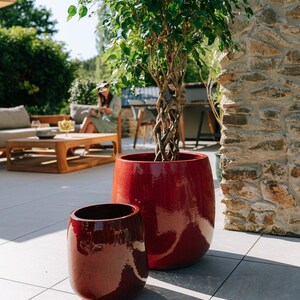 Könnte beinhalten: Zwei glänzend rote Keramik-Pflanzgefäße, eines groß und eines klein, stehen auf einer gefliesten Terrasse. In dem größeren Topf ist ein Ficusbaum mit geflochtenem Stamm gepflanzt. Die Szene spielt sich im Freien mit einer Steinmauer und einer Person im Hintergrund ab.