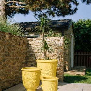 Peut inclure: Trois pots de fleurs jaunes en céramique avec un motif tourbillonnant texturé. Les pots sont de tailles différentes et reposent sur un patio en pierre. L'arrière-plan comprend un mur en pierre, un petit bâtiment et de la verdure.
