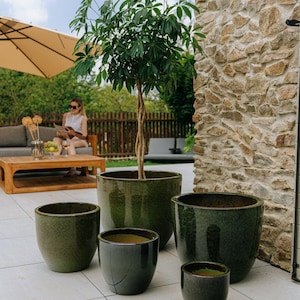 Könnte beinhalten: Eine Sammlung dunkelgrüner Keramik-Pflanzgefäße in verschiedenen Größen, angeordnet auf einer hellen Terrasse. Ein Baum mit grünen Blättern ist in den größten Pflanztopf gepflanzt. Im Hintergrund sitzt eine Frau unter einem beigen Sonnenschirm.