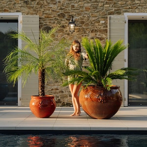 Peut inclure: Deux grands pots de fleurs ronds en céramique émaillée dans des tons rouge foncé et brun, chacun orné d'un emblème fleur de lys en relief. Le plus petit pot contient un palmier élancé, tandis que le plus large contient un cycas vert foncé.