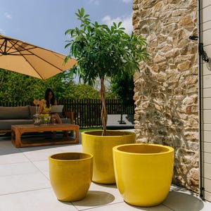Könnte beinhalten: Drei leuchtend gelbe Keramik-Pflanzgefäße in verschiedenen Größen, mit einem kleinen Baum im größten. Die Pflanzgefäße stehen auf einer hell gefliesten Terrasse, mit einer Steinmauer und einem beigen Sonnenschirm im Hintergrund.