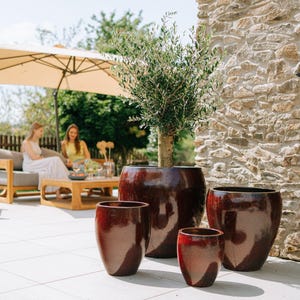 Peut inclure: Quatre pots de fleurs en céramique vernissée, de couleur bordeaux et de tailles variées, sont disposés sur un patio carrelé de couleur claire. Un grand pot contient un petit arbre. La scène se déroule à l'extérieur, avec un mur en pierre et des personnes en arrière-plan.