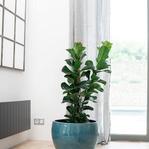 Pot de fleurs en céramique ROMULUS, bleu azur, Ø 21 x H 15 cm, résistant au gel - émaillé, avec trou de drainage | Terrasse, balcon, jardin