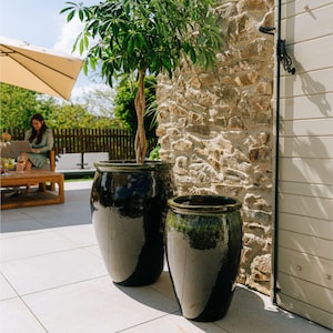 Może przedstawiać: Dwie duże, błyszczące, czarne ceramiczne donice z zieloną obwódką, z których jedna zawiera małe drzewko o skręconym pniu i zielonych liściach. Donice stoją na jasnym patio, z kamienną ścianą i drewnianymi drzwiami w tle.
