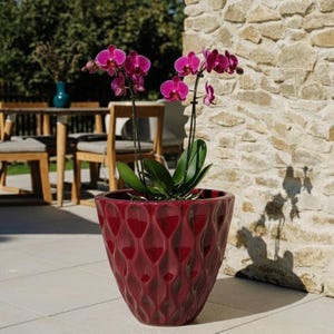 Może przedstawiać: Żywy, czerwony ceramiczny doniczka z teksturowanym, powtarzalnym wzorem łezki. Doniczka zawiera kwitnącą orchideę z jasnymi, purpurowymi kwiatami i zielonymi liśćmi. Scena rozgrywa się na zewnątrz, z kamienną ścianą i meblami ogrodowymi w tle.