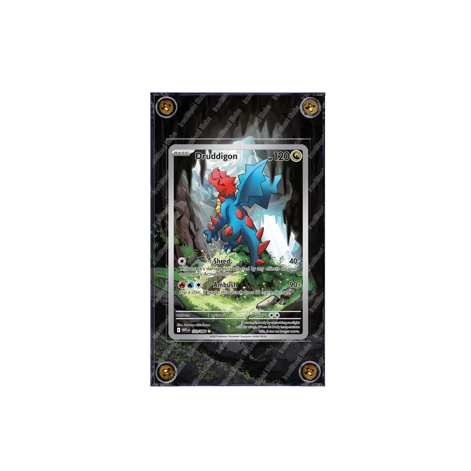 druddigon pokemon card full art 2022 Pokmon SWSH #TG09 Full Art Druddigon PSA 9