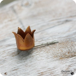 Hair bobby pin You are my princess image 1