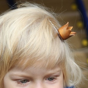 capelli bobby pin Tu sei la mia principessa immagine 4