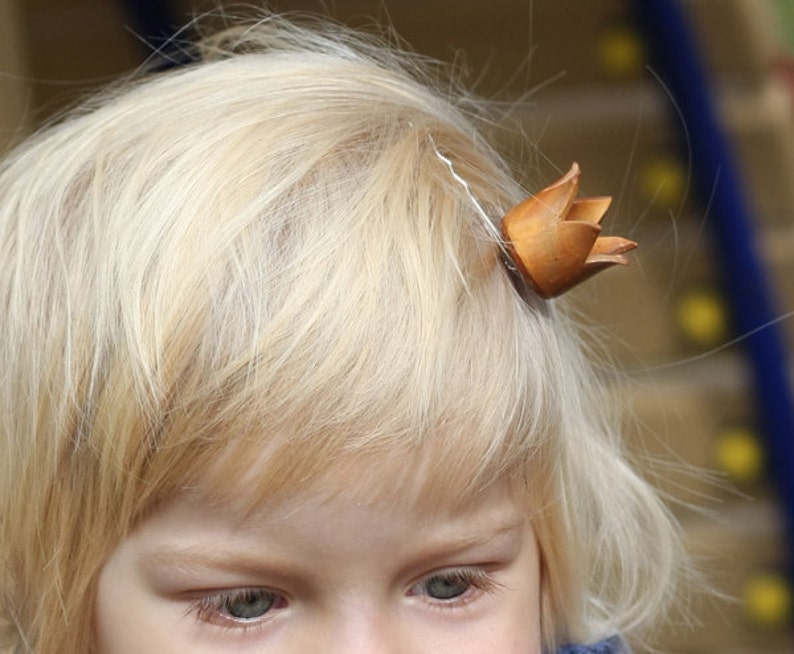 capelli bobby pin Tu sei la mia principessa immagine 4