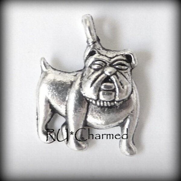 6pc BullDog Charms Bracelets Jewelry Wine Glass Charms