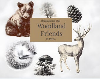 Watercolor Woodland Animals Clipart: Forest Nursery Decor PNGs (Digital Download)