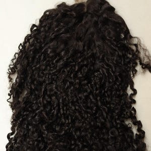 Pixie Curly Wig 5x5 Closure Human Hair | Natural Black Lace Wig for Women | Glueless & Pre-Plucked