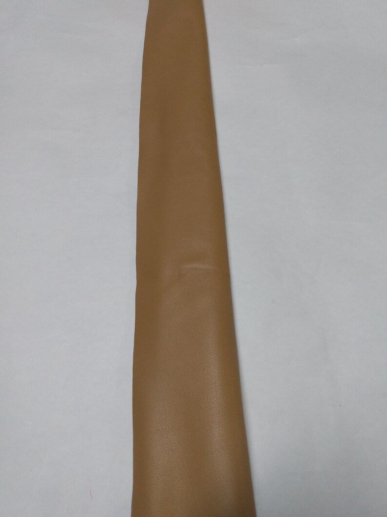 Peut inclure: Une longue bande &eacute;troite de mat&eacute;riau lisse de couleur beige avec une finition mate. L'objet est orient&eacute; verticalement, affichant une teinte brun clair unie et coh&eacute;rente sur toute sa surface visible, avec des bords droits et nets des deux c&ocirc;t&eacute;s.