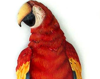 Parrot Wall Hanging Etsy