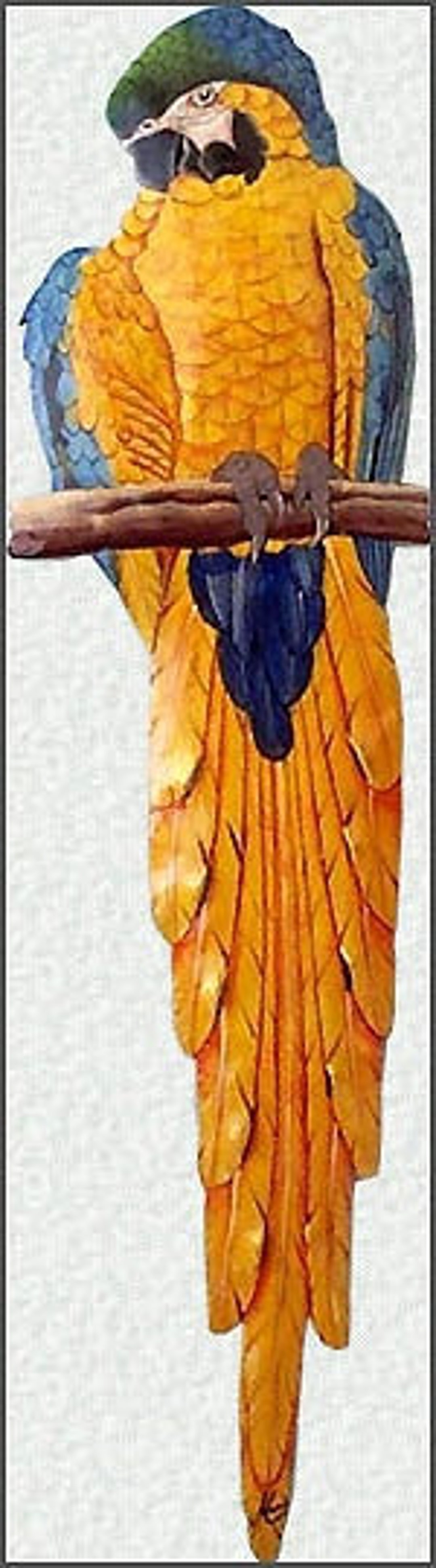 Parrot Wall Art Metal Art, Metal Wall Art, Blue and Gold Macaw Parrot