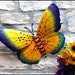 see more listings in the Butterflies  Dragonflies section