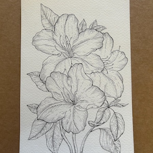 Disegno floreale realizzato a mano con china – Arte botanica su cold press paper – Disegno con cornice inclusa – Arredamento parete minimal