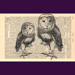 Dos lechuzas comunes, impresión de diccionario, regalos literarios, páginas de libros antiguos, regalos literarios, rincón de lectura