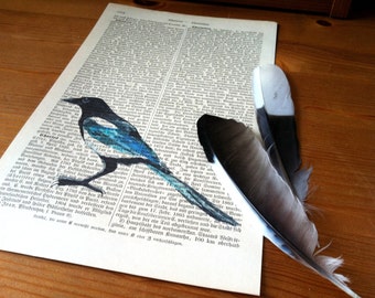 Magpie Art Print on Old Book Pages, Book Nook Decoration, Literary Gifts