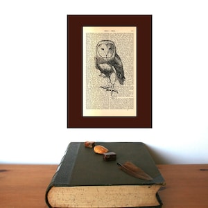 Barn Owl, book nook, bookish gifts, librarian gifts