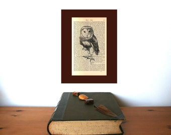 Barn Owl, book nook, bookish gifts, librarian gifts