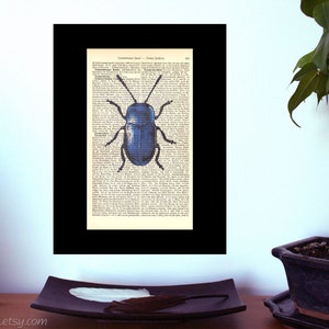 Hydrothassa Blue Bug, Wörterbuch Druck, Buchgeschenke, alte Buchseiten, literarische Geschenke, Achtsamkeitsgeschenk