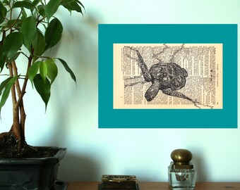 Seaturtle, dictionary print, literary gifts, old book pages, bookish gifts, book nook