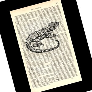Agama, Wörterbuch Druck, Bücherwurm Geschenke, alte Buchseiten, literarische Geschenke, Achtsamkeit Geschenk