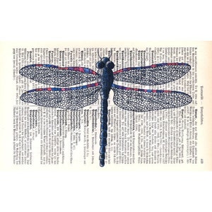 Zero Waste Gifts, Dragonfly Art Print, Literary Gifts on Old Book Pages image 3