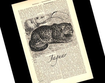 Jaguar, dictionary print, literary gifts, old book pages, mindfulness gift