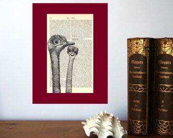 Safari Nursery Decor, Funny Ostrich Art Print on old book pages, Zero Waste Gifts