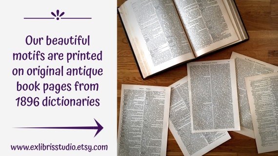 Dictionary Art Print Printed On Authentic Vintage Dictionary Hedgehog Love