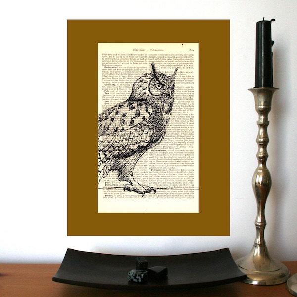 Eagle Owl 1896, dictionary print, literary gifts, old book pages, mindfulness gift