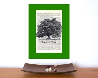 Ancient Tree Original Page, dictionary print, literary gifts, old book pages, mindfulness gift