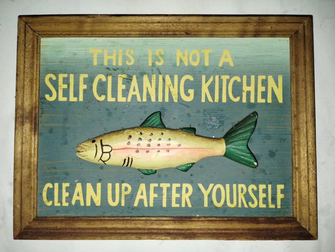 Salmon Fish 3 D Wall Plaque/sign 