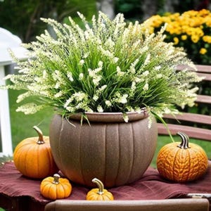 May include: A brown, ribbed ceramic pot filled with green and white flowering plants. Three orange pumpkins of varying sizes are arranged around the pot on a burgundy surface, creating a fall-themed display.