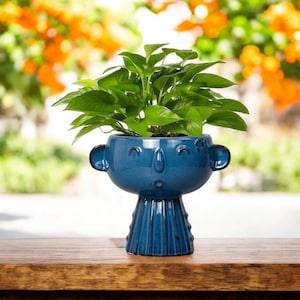 May include: A blue ceramic planter with a face design, holding a green leafy plant. The planter has a unique shape with a head-like top, ears, and a textured base. The plant is lush and vibrant, contrasting with the blue of the planter.