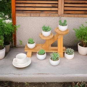 May include: A wooden plant stand with multiple levels, holding small white pots with various succulents. A white teacup and saucer sit on the ground. The stand is made of light-colored wood.