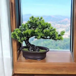 May include: A small, artificial bonsai tree in a dark brown, oval-shaped pot. The tree has vibrant green foliage and a dark, textured trunk. The pot sits on a wooden windowsill, with a scenic view of mountains and a blue sky visible through the window.