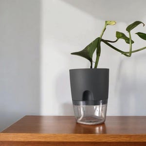 May include: A dark gray self-watering planter with a clear bottom section, holding a green leafy plant. The planter sits on a wooden surface against a white wall. The clear bottom shows the water level.