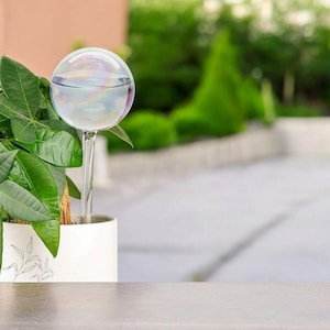 May include: A clear glass watering globe with a spherical reservoir filled with water. The globe is connected to a slender stem inserted into the soil of a potted plant with green leaves. The pot is white with a floral design.