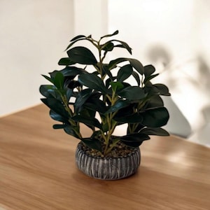 May include: A small, artificial plant with dark green leaves in a striped, gray and white ceramic pot. The plant sits on a light brown wooden surface, with a white wall in the background.