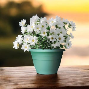 May include: A teal-colored plastic flower pot filled with white flowers with yellow centers and green leaves. The pot sits on a wooden surface with a blurred background of trees and a sunset.