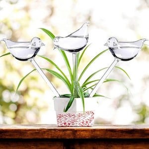 May include: Three clear glass bird-shaped plant waterers are inserted into a potted plant. The bird waterers are filled with water and have long stems. The plant is in a white square pot with a red and white patterned design. The background is blurred.