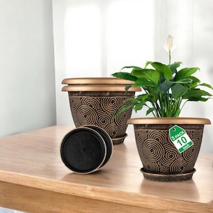 May include: Three decorative brown and gold plant pots with a spiral design. One pot contains a green plant with white flowers. The pots are 10 inches in diameter and include matching saucers.