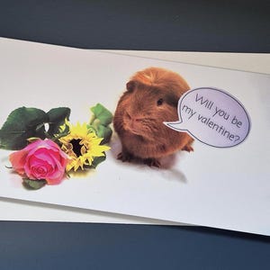 Carte de Saint-Valentin pour cochon d'Inde « Serez-vous mon valentin ?
