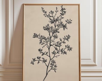 Antique Botanical Sketch Art Print: Neutral Farmhouse Wall Decor, Vintage Floral Print